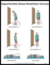 Thumbnail image of: Osgood-Schlatter Disease Exercises, Page 2: Illustration