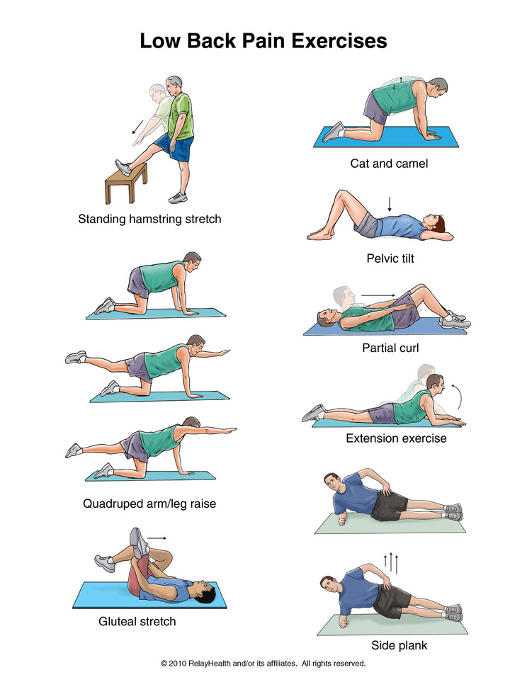 Low Back Pain Exercises: Illustration